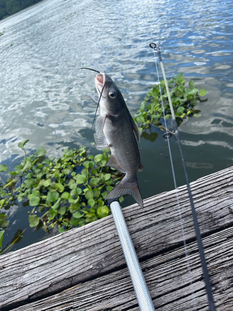 Fishing