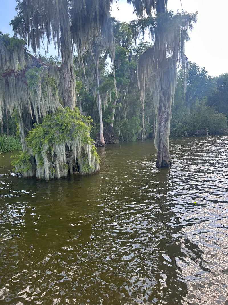 LOUISIANA